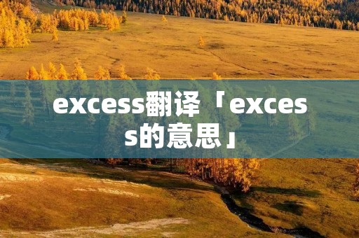 excess翻译「excess的意思」
