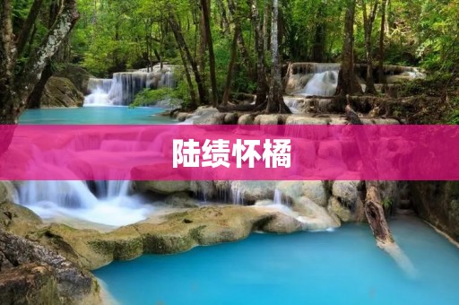 陆绩怀橘:一种珍贵的橘子品种