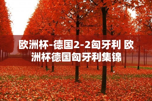 欧洲杯-德国2-2匈牙利 欧洲杯德国匈牙利集锦 欧洲杯-德国2-2匈牙利 欧洲杯德国匈牙利集锦