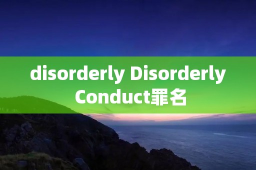 disorderly Disorderly Conduct罪名