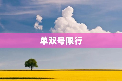 单双号限行:城市交通管理的有效手段 单双号限行:城市交通管理的有效手段