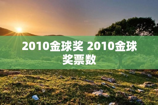 2010金球奖 2010金球奖票数