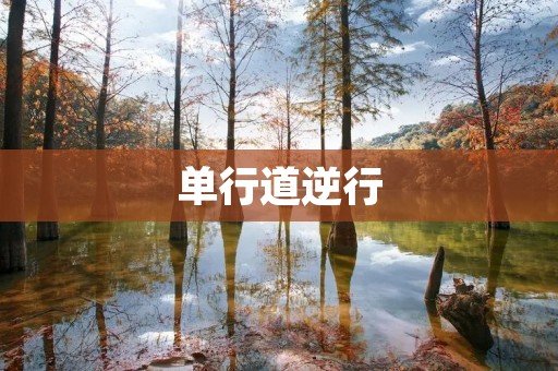 单行道逆行:违规行为带来的风险与危害 单行道逆行:违规行为带来的风险与危害