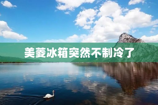 美菱冰箱突然不制冷了:可能的原因和解决方法 美菱冰箱突然不制冷了:可能的原因和解决方法