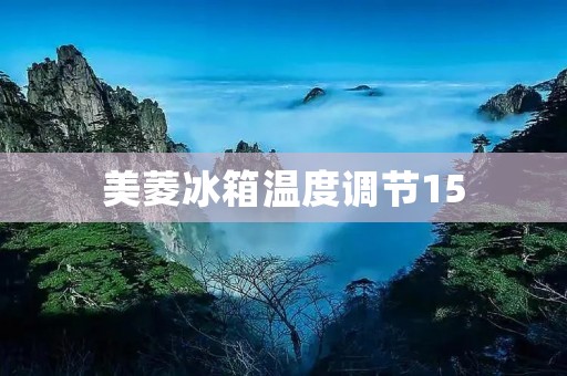 美菱冰箱温度调节15:让你的冰箱更加智能化 美菱冰箱温度调节15:让你的冰箱更加智能化