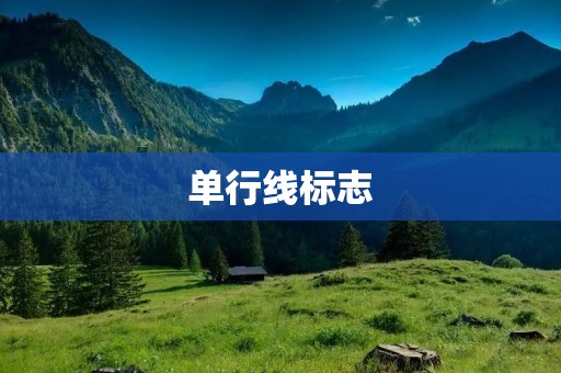 单行线标志:道路规划与安全标识 单行线标志:道路规划与安全标识