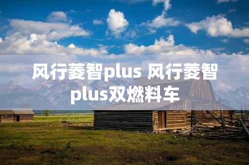 风行菱智plus 风行菱智plus双燃料车