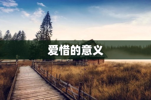 爱惜的意义：珍惜生命，尊重他人，爱护环境