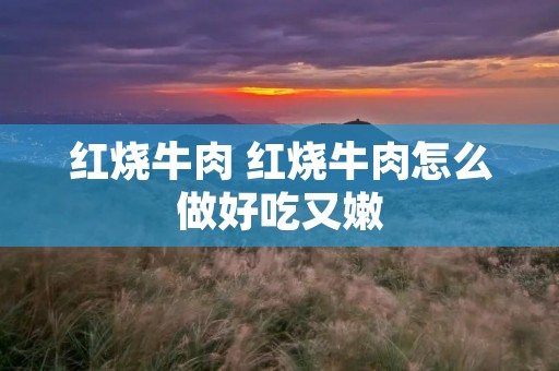 红烧牛肉 红烧牛肉怎么做好吃又嫩 红烧牛肉 红烧牛肉怎么做好吃又嫩