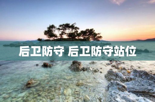 后卫防守 后卫防守站位