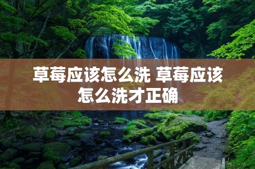 草莓应该怎么洗 草莓应该怎么洗才正确
