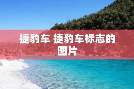 捷豹车 捷豹车标志的图片