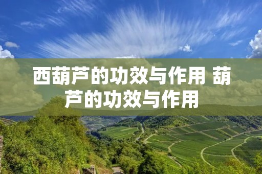 西葫芦的功效与作用 葫芦的功效与作用