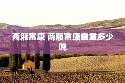 两厢富康 两厢富康自重多少吨