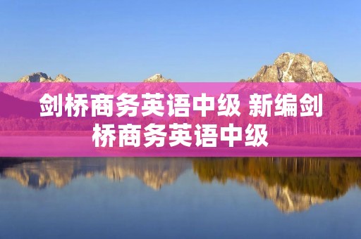 剑桥商务英语中级 新编剑桥商务英语中级