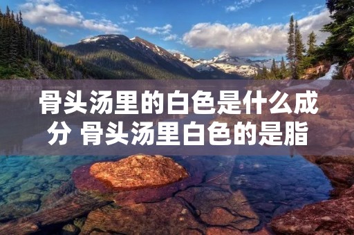 骨头汤里的白色是什么成分 骨头汤里白色的是脂肪还是蛋白质