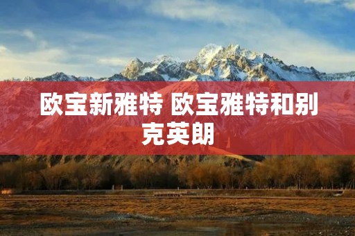 欧宝新雅特 欧宝雅特和别克英朗