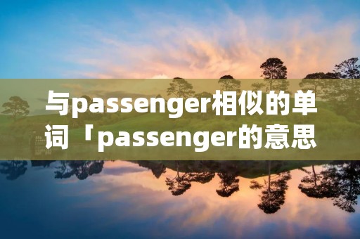 与passenger相似的单词「passenger的意思」