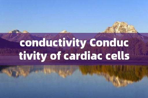 conductivity Conductivity of cardiac cells