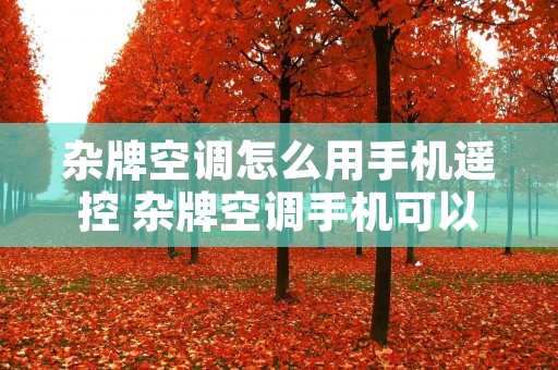 杂牌空调怎么用手机遥控 杂牌空调手机可以遥控吗