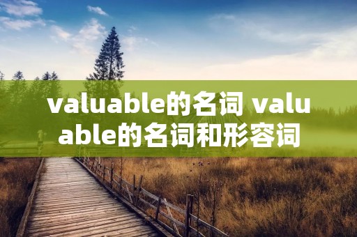 valuable的名词 valuable的名词和形容词