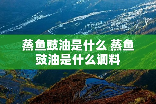 蒸鱼豉油是什么 蒸鱼豉油是什么调料