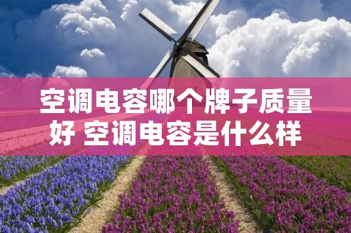 空调电容哪个牌子质量好 空调电容是什么样的