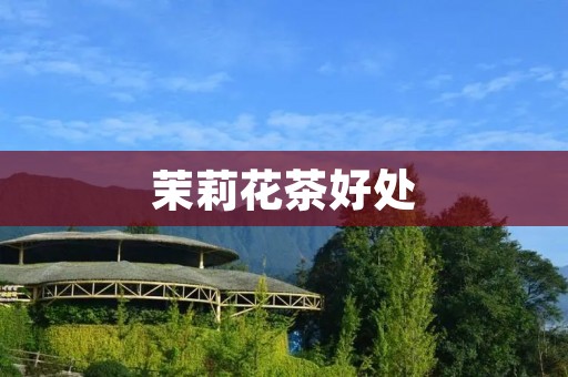 茉莉花茶好处：探究茉莉花茶对人体的益处