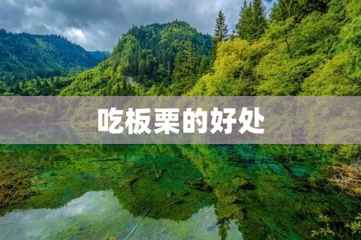 吃板栗的好处：营养丰富，有益健康