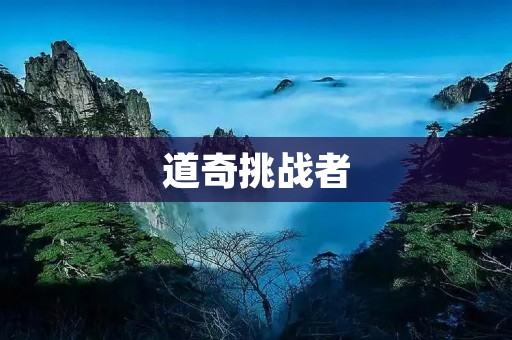 道奇挑战者:燃烧你的青春 道奇挑战者:燃烧你的青春