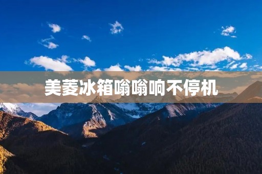 美菱冰箱嗡嗡响不停机 美菱冰箱嗡嗡响不停机