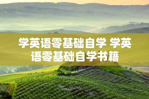 学英语零基础自学 学英语零基础自学书籍