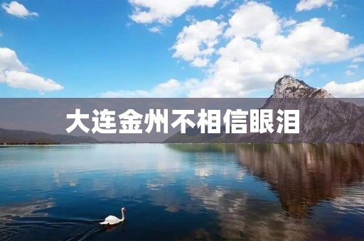 大连金州不相信眼泪：一段关于家庭和爱情的故事