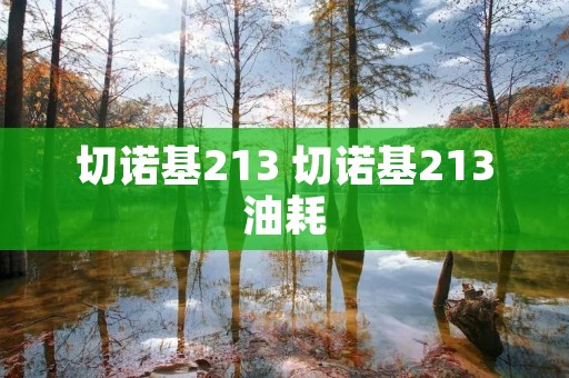 切诺基213 切诺基213油耗