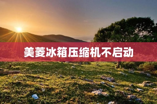 美菱冰箱压缩机不启动：原因与解决方法