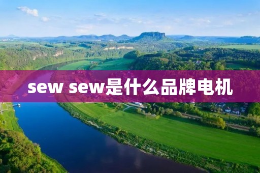 sew sew是什么品牌电机