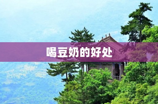 喝豆奶的好处
