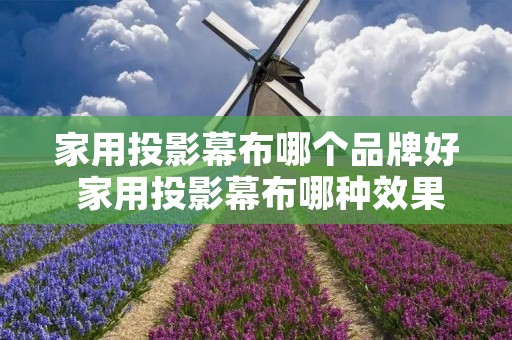 家用投影幕布哪个品牌好 家用投影幕布哪种效果好