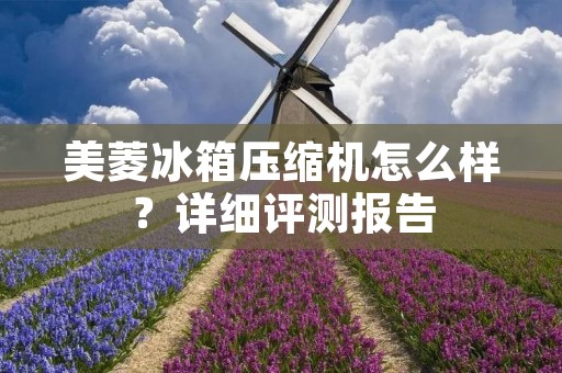 美菱冰箱压缩机怎么样?详细评测报告 美菱冰箱压缩机怎么样?详细评测报告