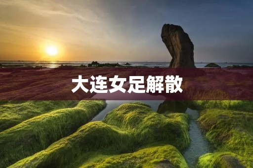 大连女足解散：中国女足的一次重大损失