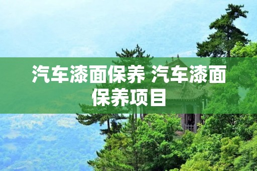 汽车漆面保养 汽车漆面保养项目