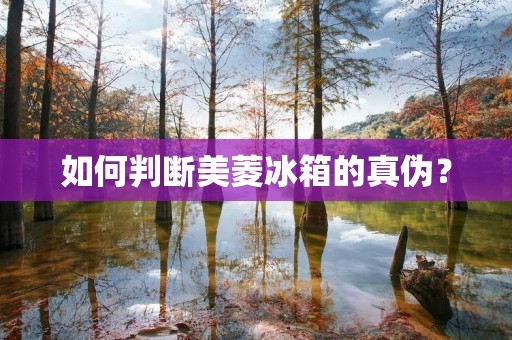 如何判断美菱冰箱的真伪？