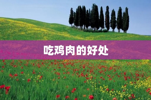 吃鸡肉的好处