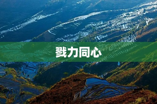 戮力同心:团结一心,共创辉煌