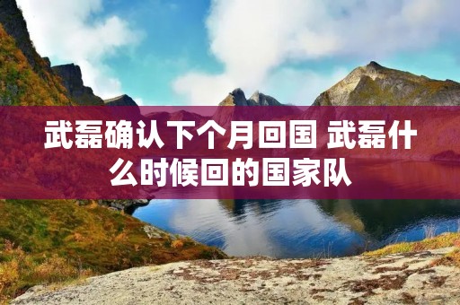 武磊确认下个月回国 武磊什么时候回的国家队