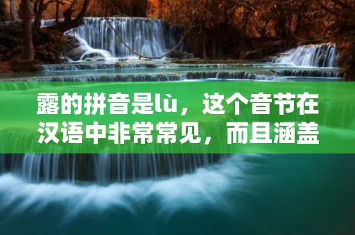 露的拼音是lù,这个音节在汉语中非常常见,而且涵盖了很多不同的意思和用法。在这篇文章中,我们将会详细探讨这个音节的各种用法和含义。