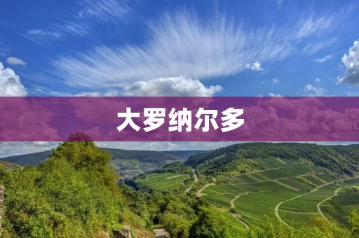 大罗纳尔多：足坛传奇的华丽巅峰