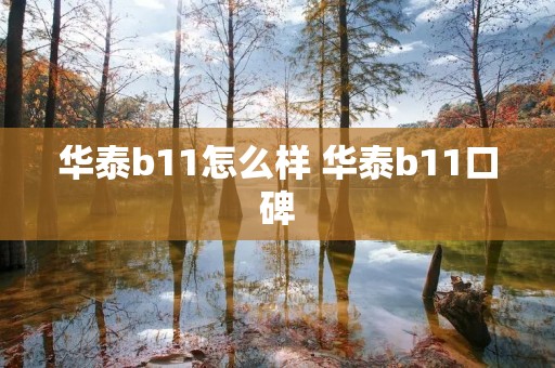 华泰b11怎么样 华泰b11口碑