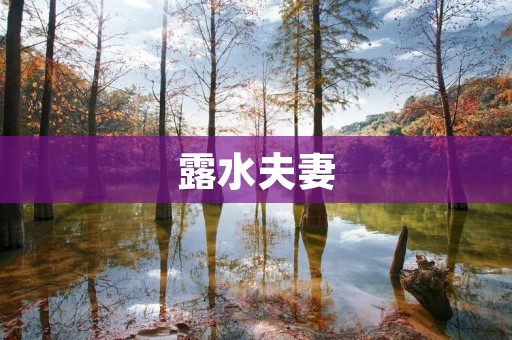 露水夫妻:一场不同寻常的爱情