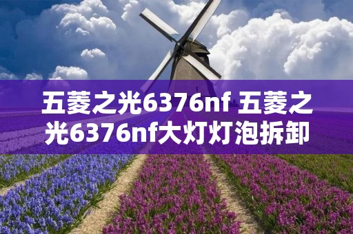 五菱之光6376nf 五菱之光6376nf大灯灯泡拆卸